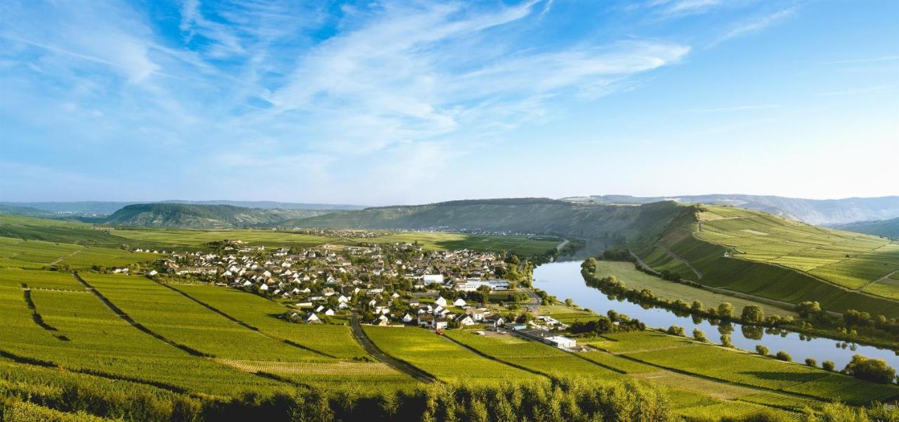 Ferienweingut Ulrike Thul Apartment Leiwen Bagian luar foto