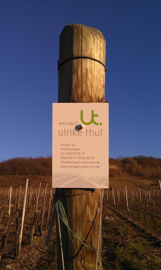 Ferienweingut Ulrike Thul Apartment Leiwen Bagian luar foto